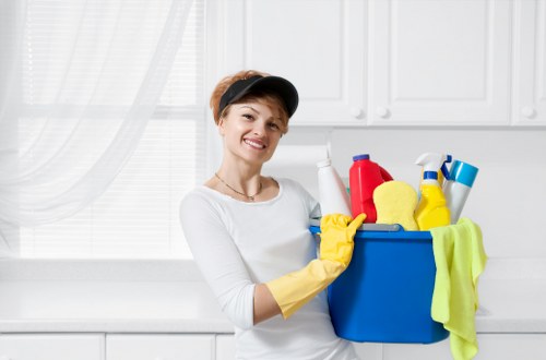Customer service review of cleaning concerns