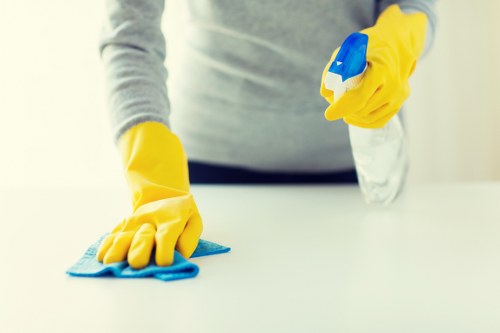 Common sofa stains and dirt removal in Elmstead homes