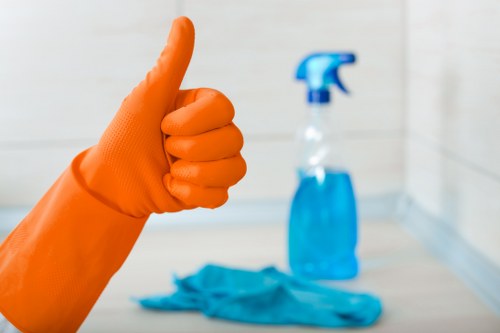 Removing pet odours from carpets and upholstery in Elmstead