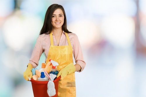 Deep carpet cleaning process removing dirt and allergens