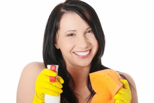 Expert carpet care improving home cleanliness and appearance