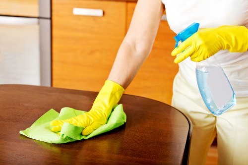 Cleaner applying controlled safety procedures during carpet treatment